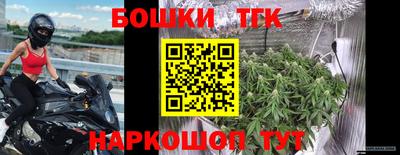 гидра Нальчик