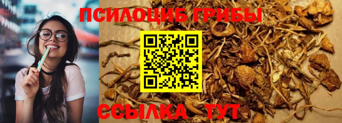Сухой Лог  Псилоцибиновые грибы ЛСД  Галлюциногенные грибы MAGIC MUSHROOMS  Вход с VPN 